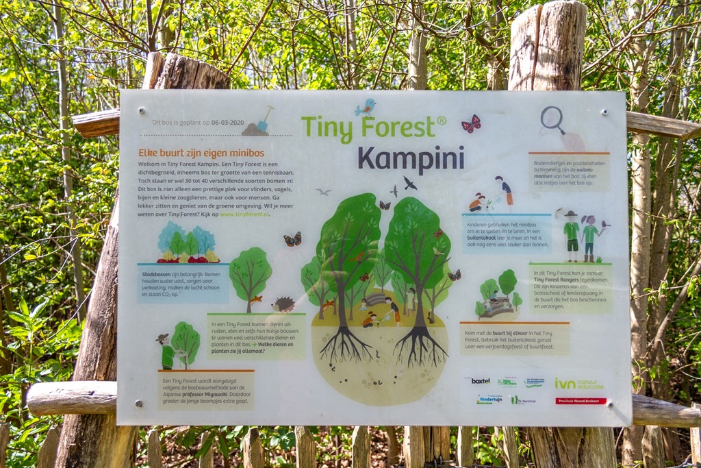 Dommeloord 54, Eline Makelaardij, foto 35.jpg